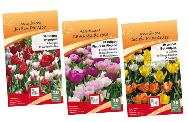 Adobe Photoshop PDF