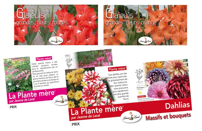 Adobe Photoshop PDF