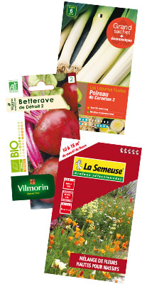 SACHET_3